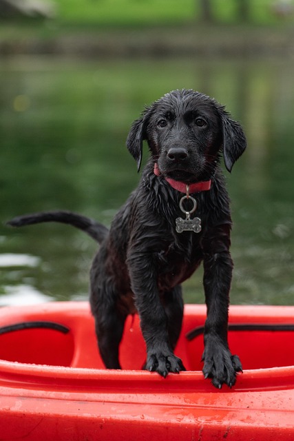 How Can Families Plan Safe Adventure Vacations?