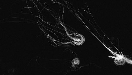 How Can You Improve Your Life Quality on a Budget?