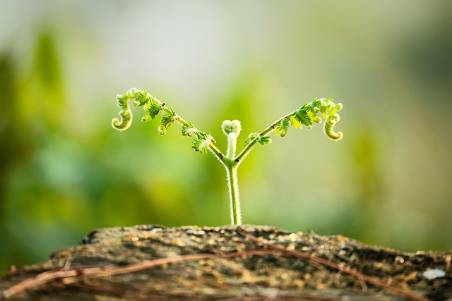 How Can You Live a More Eco-Friendly Life?