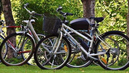 How to Book Last-Minute Tours [And Save Money]?