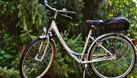 How to Choose Family-Friendly City Tours?