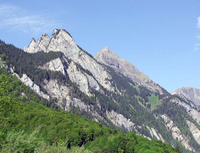 How to Compare Different Tour Operators?