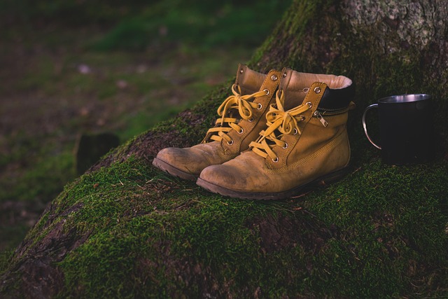 How To Create Memorable Adventure Stories? How To Create Memorable Adventure Stories?