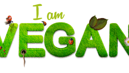 How to Document Your Life Journey? How to Document Your Life Journey?