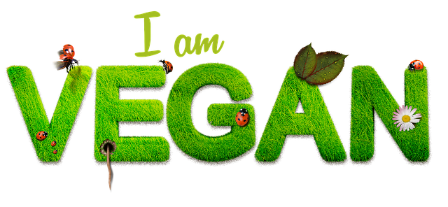 How to Document Your Life Journey? How to Document Your Life Journey?