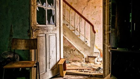 How to Explore The Amazon Rainforest [Safety Tips]?