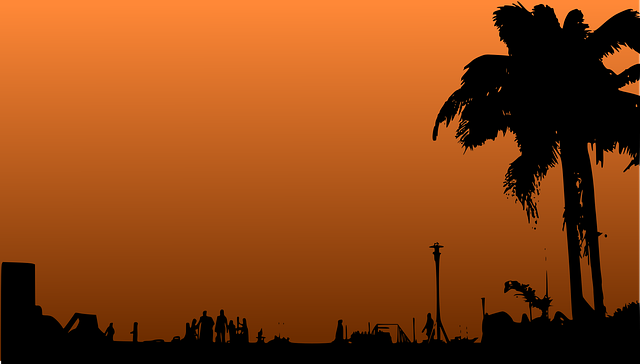 How to Explore The Amazon Rainforest [Safety Tips]?