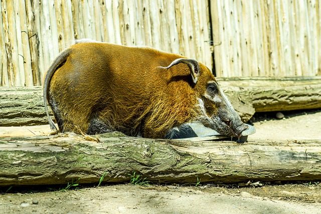 How to Explore The Great Barrier Reef [Ultimate Guide]?