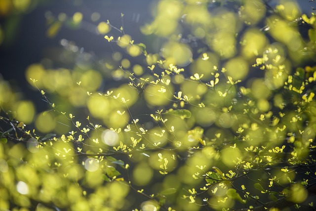 How to Find Life Direction When Feeling Lost? How to Find Life Direction When Feeling Lost?