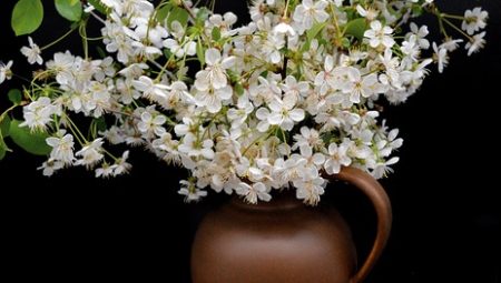 How to Find Your Life Purpose [Complete Guide 2024]?