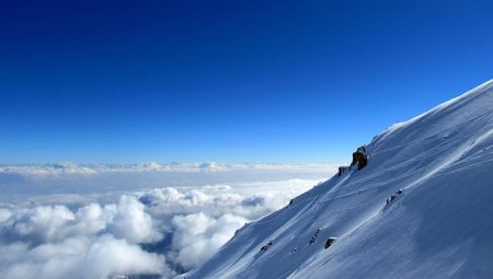 How to Get the Most Out of Museum Tours?