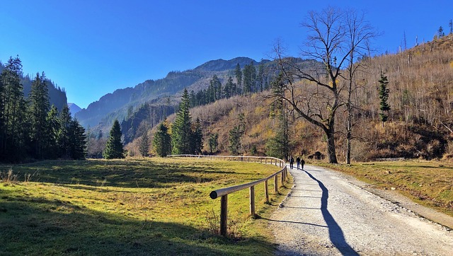 How to Make the Most of Night City Tours? How to Make the Most of Night City Tours?