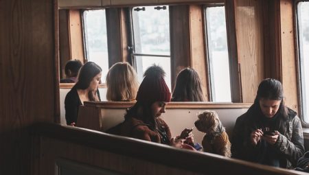 How to Plan a Trip Around Food Tourism?