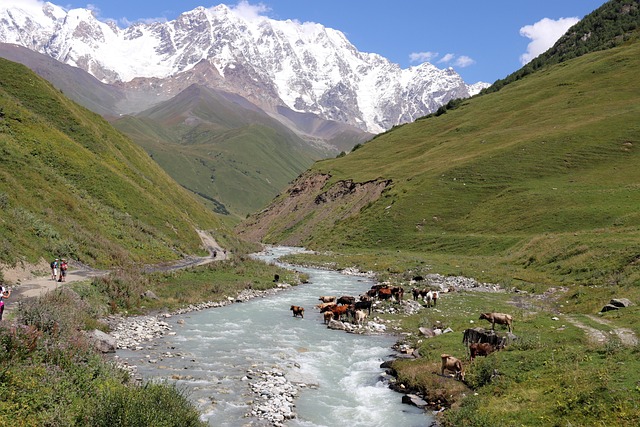 How to Plan a Trip Around Food Tourism?