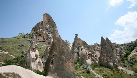 How to Plan Educational Trips for Children?