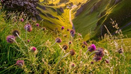 How To Plan Multi-Country Adventure Routes?