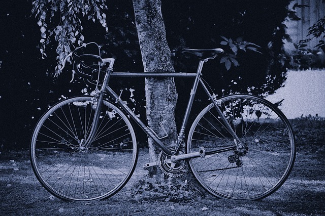 How to Plan the Perfect Custom Tour Itinerary? How to Plan the Perfect Custom Tour Itinerary?