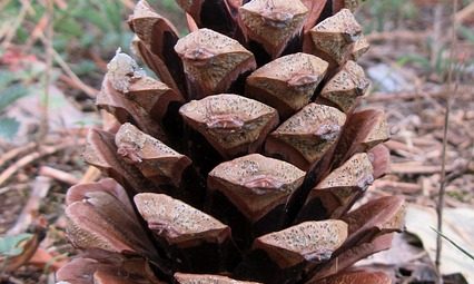 How to Prepare for Adventure Tours [Safety Guide]?