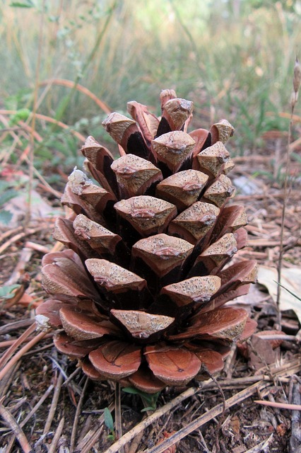 How to Prepare for Adventure Tours [Safety Guide]?