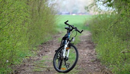 How to Save Money on Sightseeing Tours [Pro Tips]?