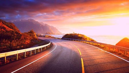 How to Stay Healthy During Long Trips?