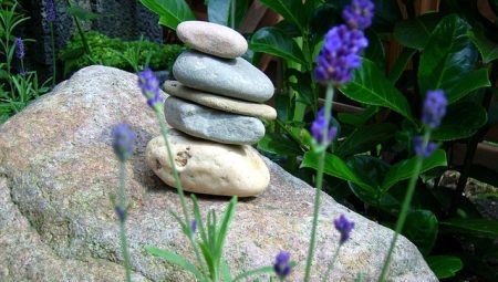 How to Visit Paris Like a Local [Insider Tips]?