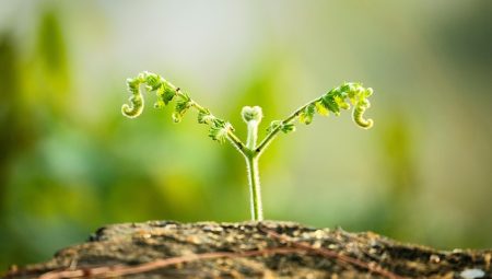 What Are The Benefits of a Minimalist Life? What Are The Benefits of a Minimalist Life?