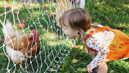 What Are The Best Ancient Ruins to Visit in Rome? What Are The Best Ancient Ruins to Visit in Rome?