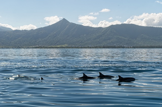 What Are The Best Historical Sites to Visit in Egypt?