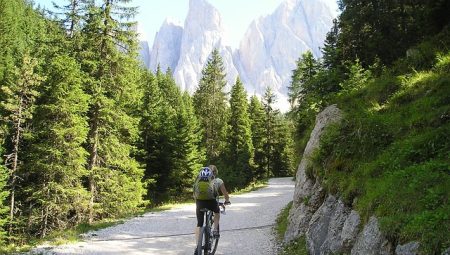 What Are The Best Photography Tours Worldwide?