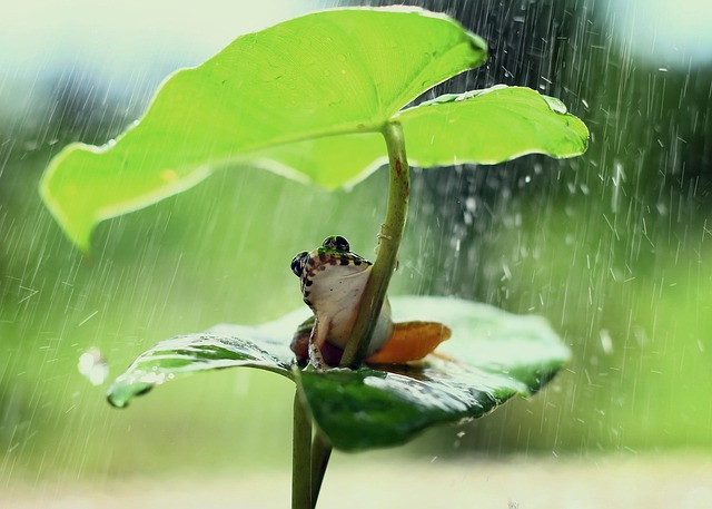 What Are The Most Important Life Values? What Are The Most Important Life Values?