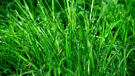 What Are The Most Life-Changing Books to Read?