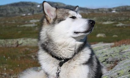 What Are The Most Unique Underground City Tours?