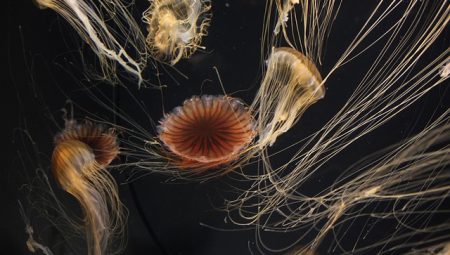 What Does Science Say About Living a Happy Life?