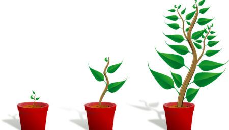 What Life Changes Should You Make in Your 20s?