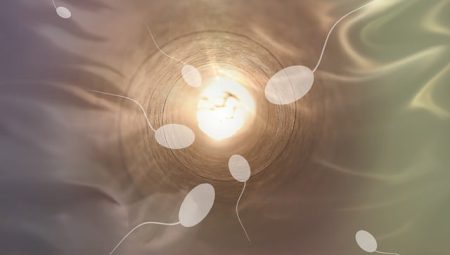 What Life Habits Lead to Long-Term Success?