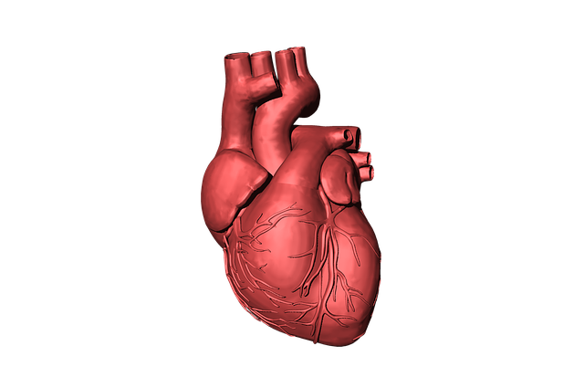 What Life Habits Lead to Long-Term Success?