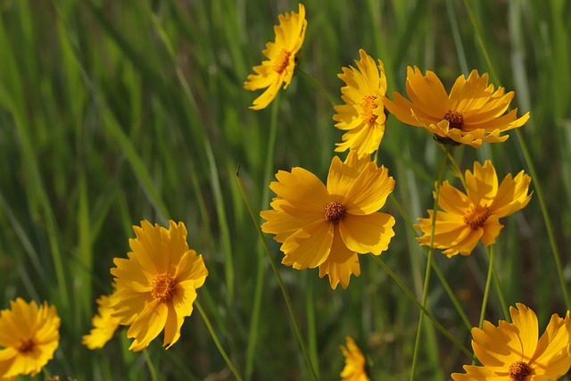 What Life Lessons Come From Nature? What Life Lessons Come From Nature?