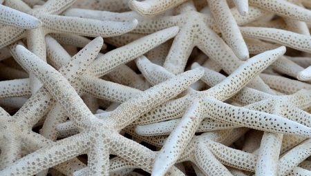 What Makes A Life Well-Lived [Expert Perspectives]?