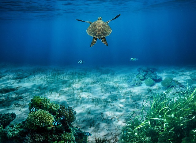 What Makes Some Life Experiences Unforgettable?