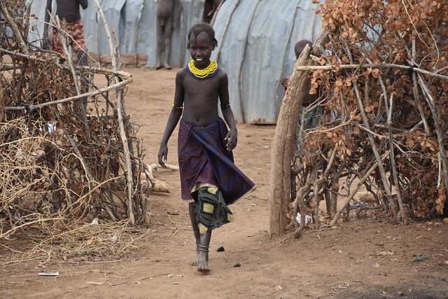 What Should You Know About Trip Insurance? What Should You Know About Trip Insurance?