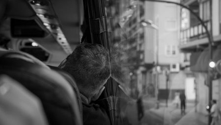 What Should You Look for When Booking Wine Tours?