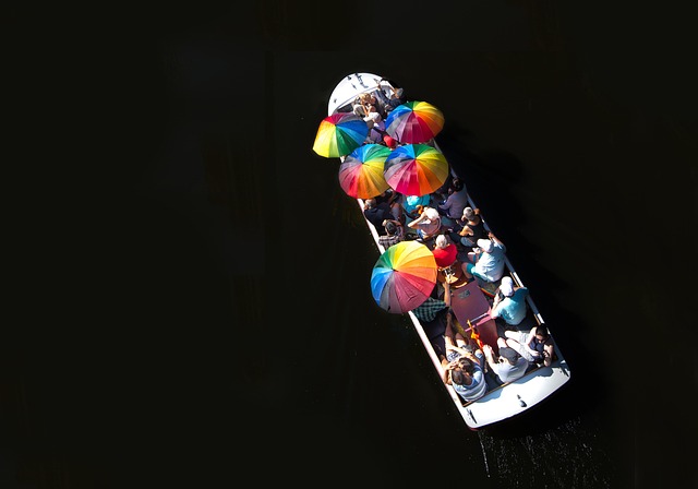 What Should You Look for When Booking Wine Tours? What Should You Look for When Booking Wine Tours?