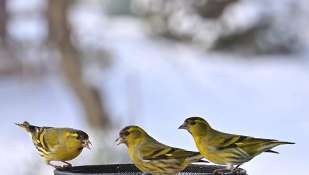 Where Can You Find The Most Beautiful Fjords in Norway? Where Can You Find The Most Beautiful Fjords in Norway?