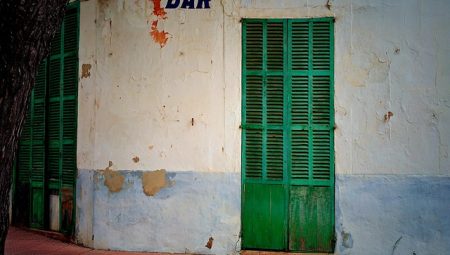 Which African Safari Destinations Offer The Best Wildlife Viewing?