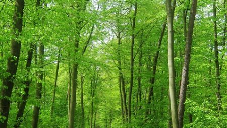 Which Archaeological Tours Are Worth Your Time?