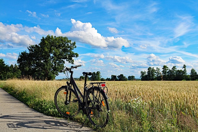 Which Brewery Tours Offer the Best Experience? Which Brewery Tours Offer the Best Experience?