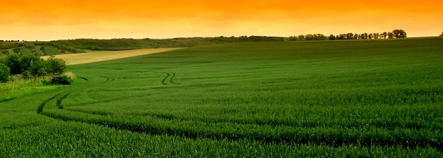 Which Brewery Tours Offer the Best Experience? Which Brewery Tours Offer the Best Experience?