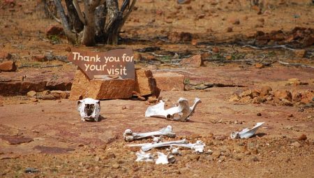 Which European Cities Are Best for Budget Travelers?