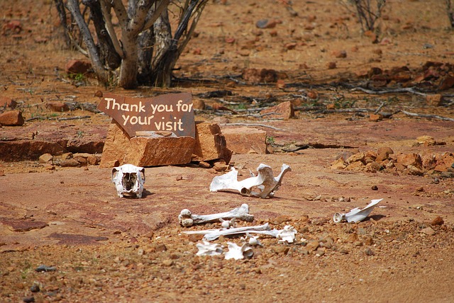 Which European Cities Are Best for Budget Travelers?